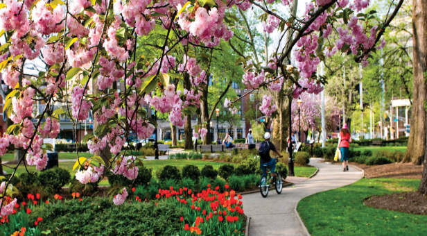 Morristown1