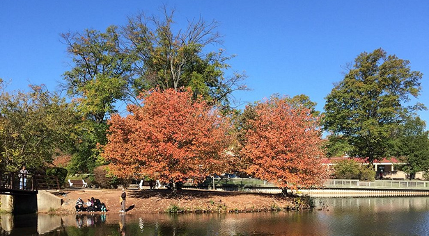 Roosevelt Park